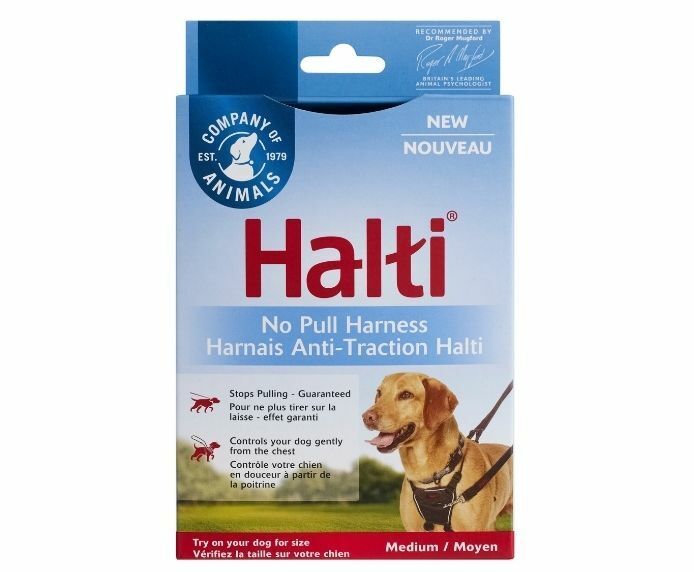 Halti No Pull Harness retail packaging showing a medium size, with a Labrador wearing the harness on the front of the box