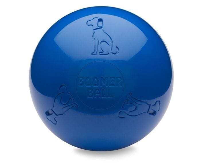 Company of Animals Boomer Ball in blue, 200mm, showing embossed dog and bone details on a hard polyethylene surface