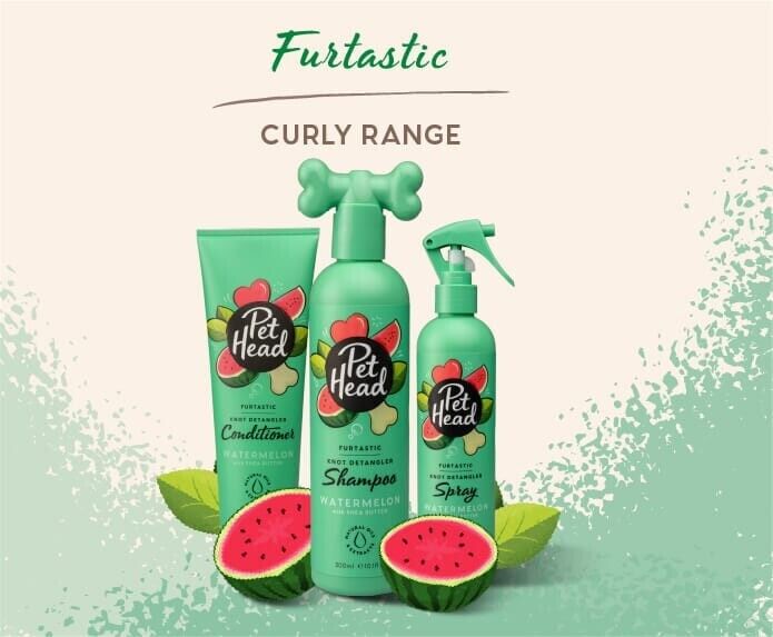 Pet Head Furtastic Curly Range — knot detangling conditioner, shampoo and spray bottles in green with watermelon branding, displayed together with watermelon fruit decoration