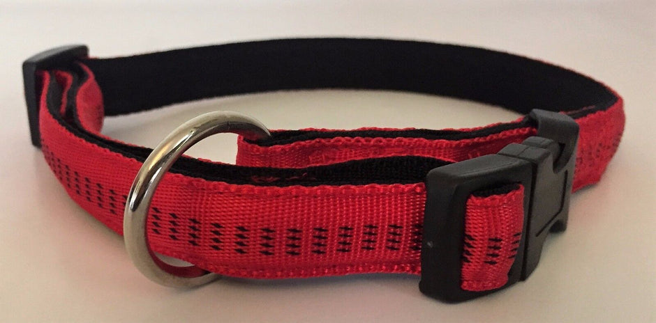 GoPetPlace 25mm padded nylon dog collar in red with black padding, D-ring and quick-release buckle visible