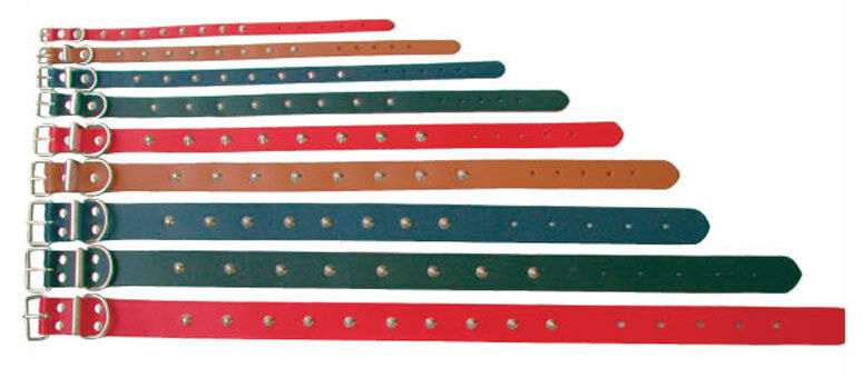 Beau Pets studded leather dog collars laid out in a fan arrangement showing multiple sizes and colours including red, tan, blue, and green