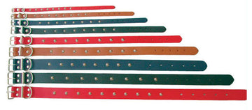 Beau Pets studded leather dog collars laid out in a fan arrangement showing multiple sizes and colours including red, tan, blue, and green