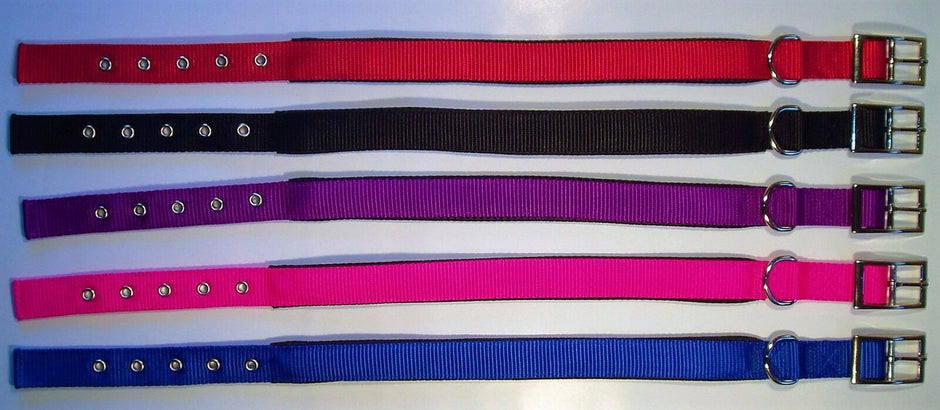 GoPetPlace nylon rubber padded dog collars laid flat in five colours: red, black, purple, pink, and blue.