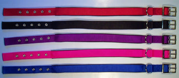GoPetPlace nylon rubber padded dog collars laid flat in five colours: red, black, purple, pink, and blue.
