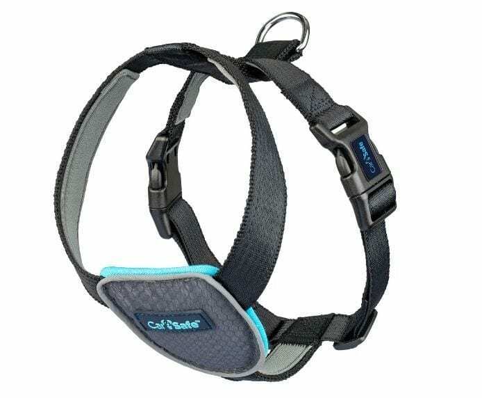 CarSafe dog travel harness shown flat, displaying padded chest panel with teal trim, reflective piping, side clips, and chrome lead ring.