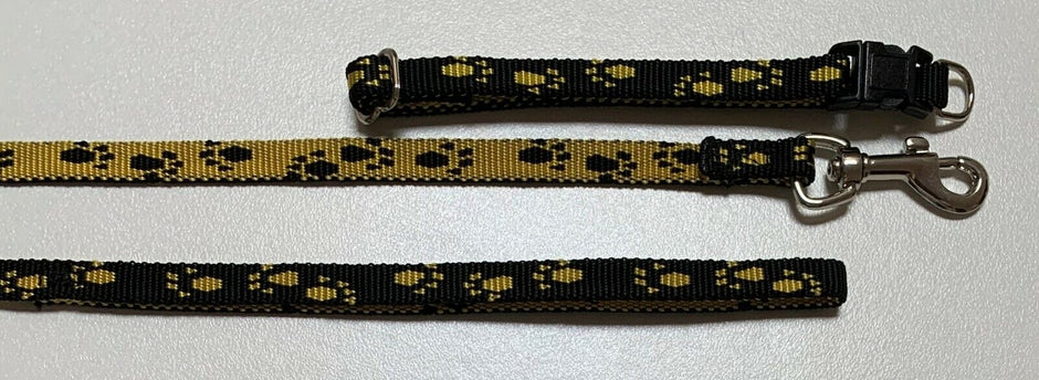 GoPetPlace 10mm nylon puppy collar and lead set in black with gold paw print embroidery, shown laid flat with silver clip hardware visible