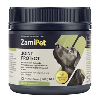 ZamiPet Joint Protect 150g tub for dogs, showing key ingredients Chondroitin, Glucosamine, Hyaluronic Acid and MSM on the label