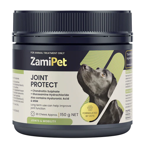 ZamiPet Joint Protect 150g chew supplement tub for dogs displayed against a white background