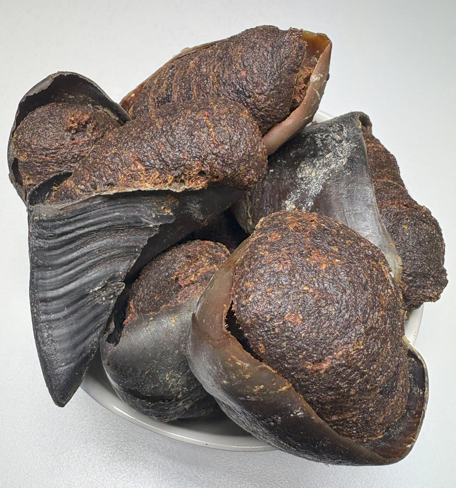 Multiple beef filled Australian cow hooves piled in a white bowl, showing dark outer hoof shells with textured beef filling inside
