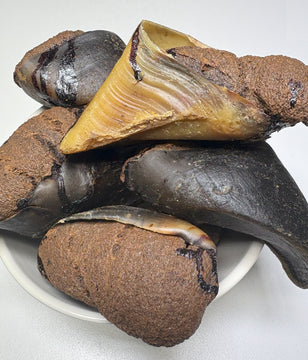 A bowl of chicken-filled Australian cow hooves for dogs, showing the rough outer hoof texture and golden chicken filling visible inside one open hoof.