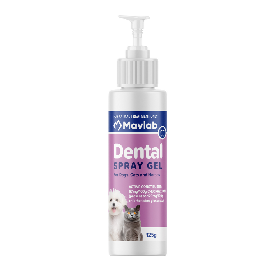 Mavlab Dental Spray Gel 125g pump bottle for dogs, cats and horses, showing chlorhexidine gluconate active constituent label with images of a dog and cat.