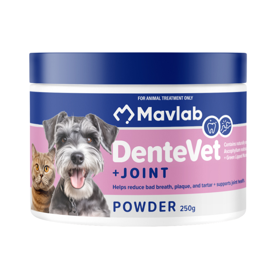 Mavlab DenteVet + Joint 250g powder supplement tub for dogs and cats, featuring a schnauzer and tabby cat on the pink and blue label