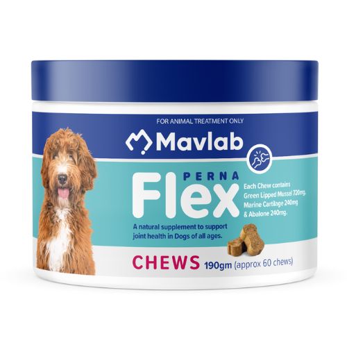 Mavlab PernaFlex Joint Health Chews 190g tub with a golden doodle dog on the label, showing chew pieces beside the container