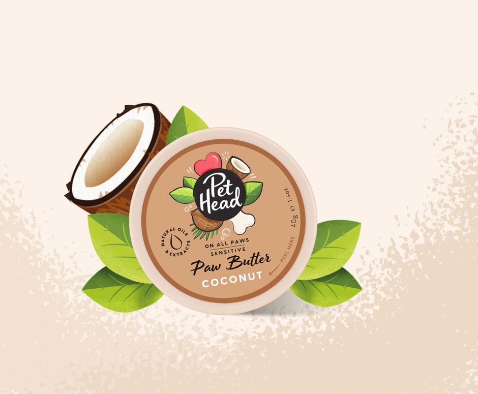 Pet Head On All Paws Coconut Paw Butter 40g tin shown front-on, surrounded by illustrated coconut halves and green leaves on a warm cream background