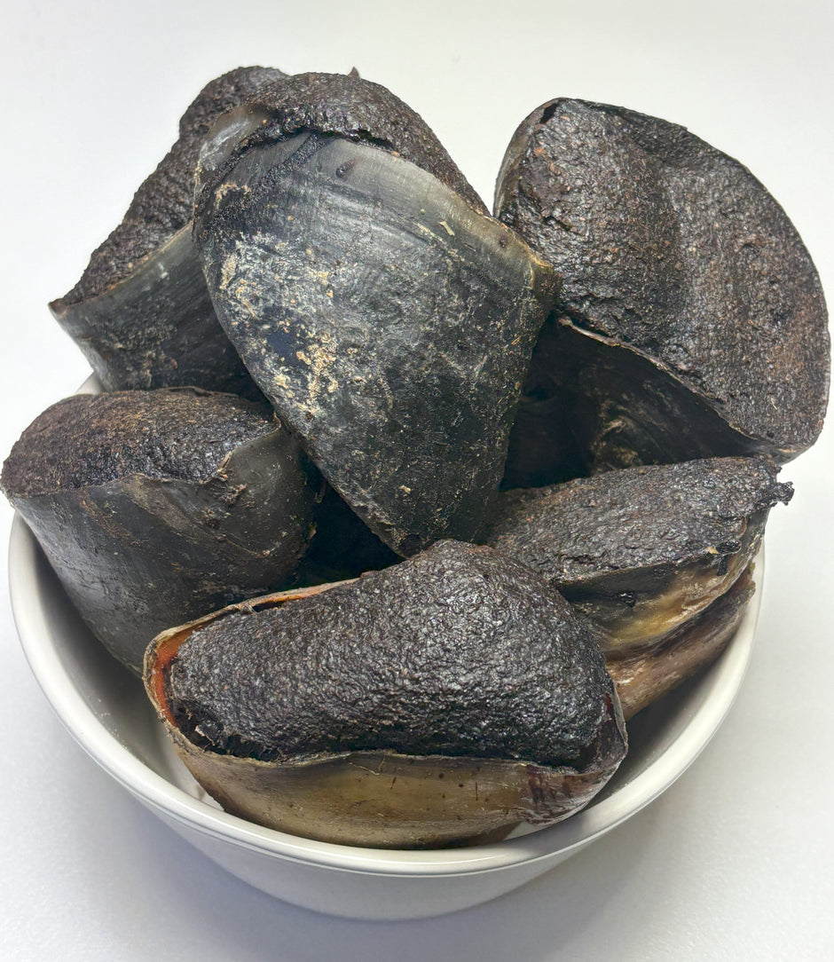 Ten kangaroo-filled cow hooves piled in a white bowl, showing their dark, textured outer surface and hollow interior