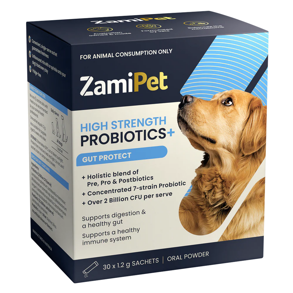 ZamiPet High Strength Probiotics+ Gut Protect carton showing 30 x 1.2 g oral powder sachets, with a golden retriever on the front of the pack
