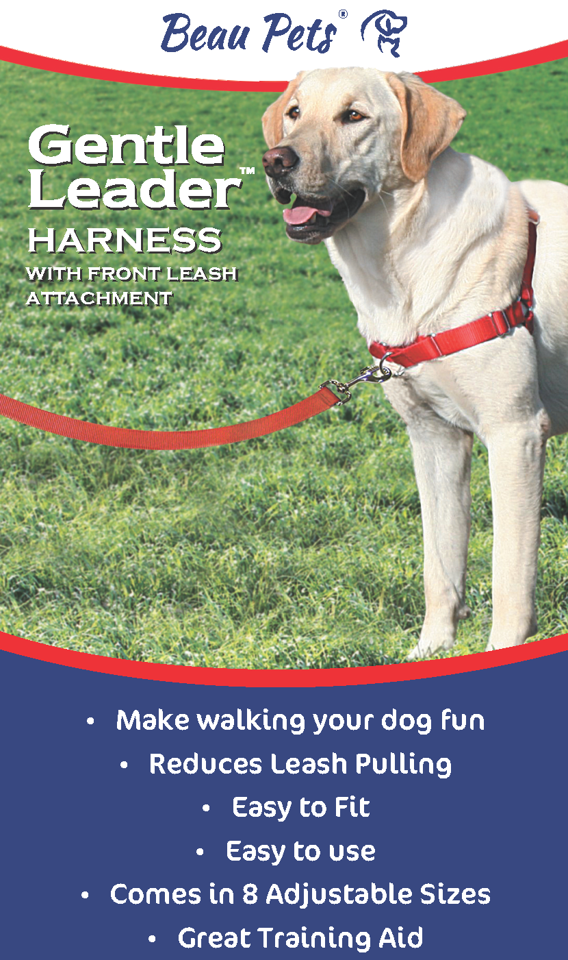 Beau Pets Gentle Leader Harness with front leash attachment shown on a yellow Labrador wearing a red harness on grass