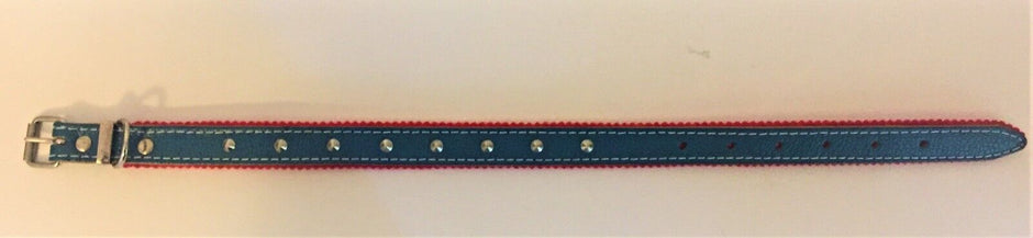 Full-length view of the teal leather studded dog collar showing the metal buckle and red felt lining along the edges.