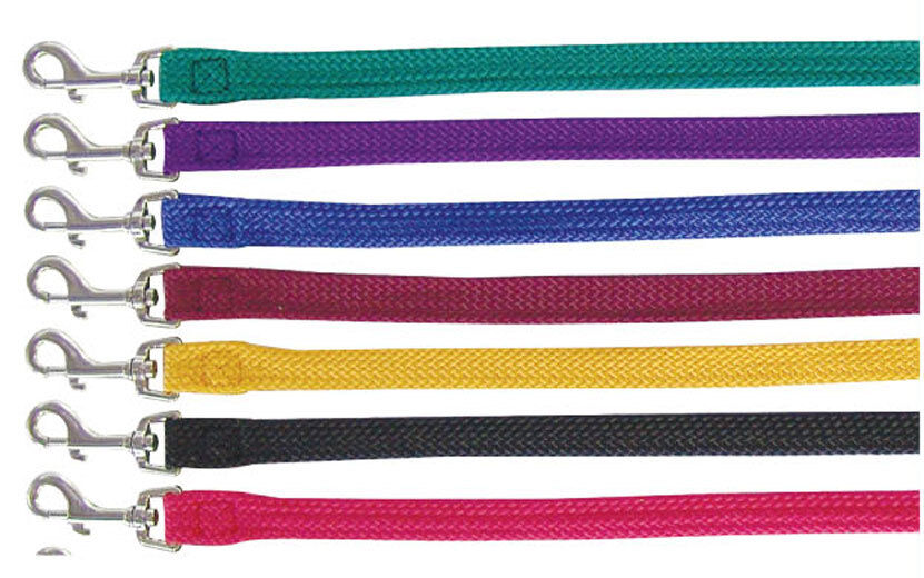 Beau Pets plain nylon dog leads laid out in a row showing multiple colours including black, red, blue, purple, teal, maroon and yellow, each with a stainless steel clip