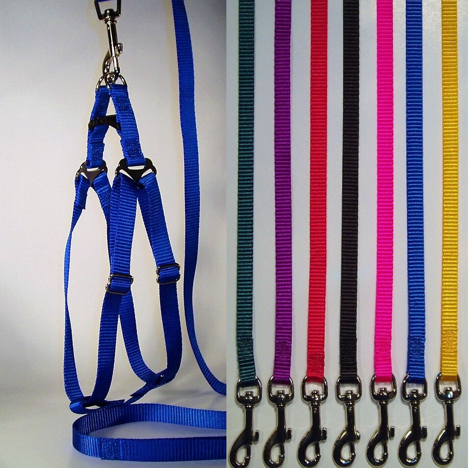 GoPetPlace 25mm nylon step-in dog harness and lead set shown in blue on the left, with seven colour options — green, red, black, pink, blue, and yellow — displayed on the right.