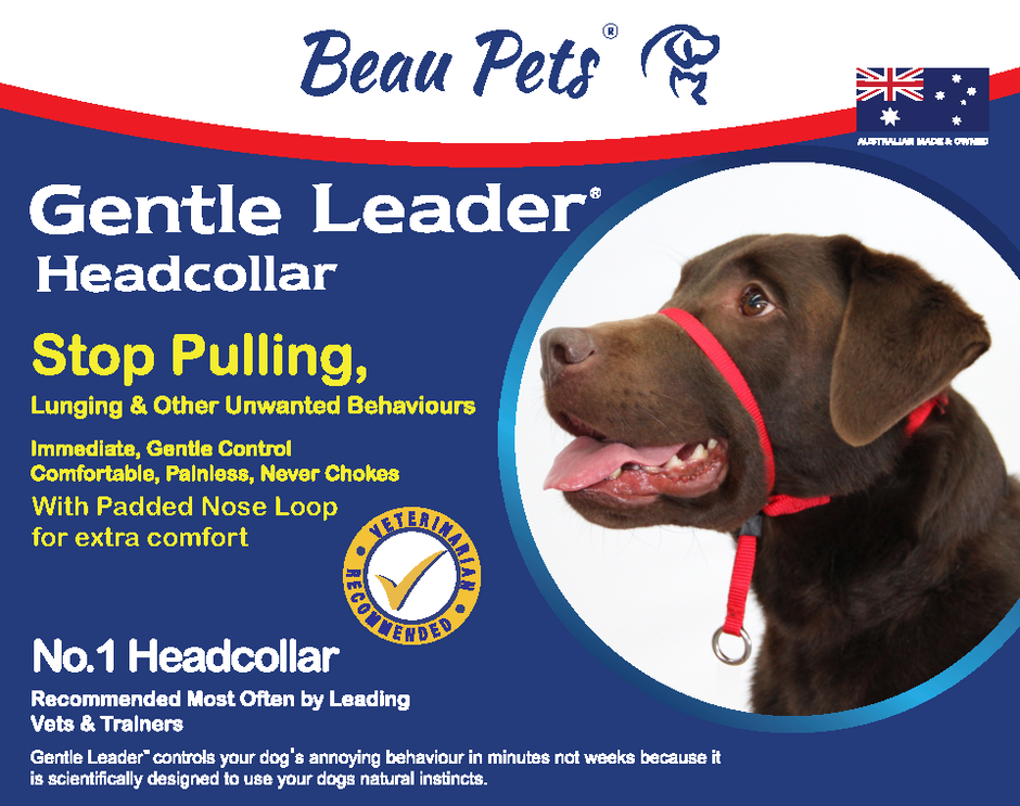 Beau Pets Gentle Leader Head Collar packaging showing a chocolate Labrador wearing a red head collar