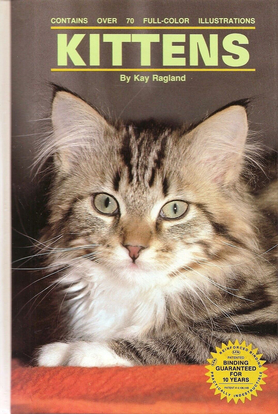 Front cover of Kittens by Kay Ragland, showing a fluffy tabby kitten and noting over 70 full-colour illustrations inside.