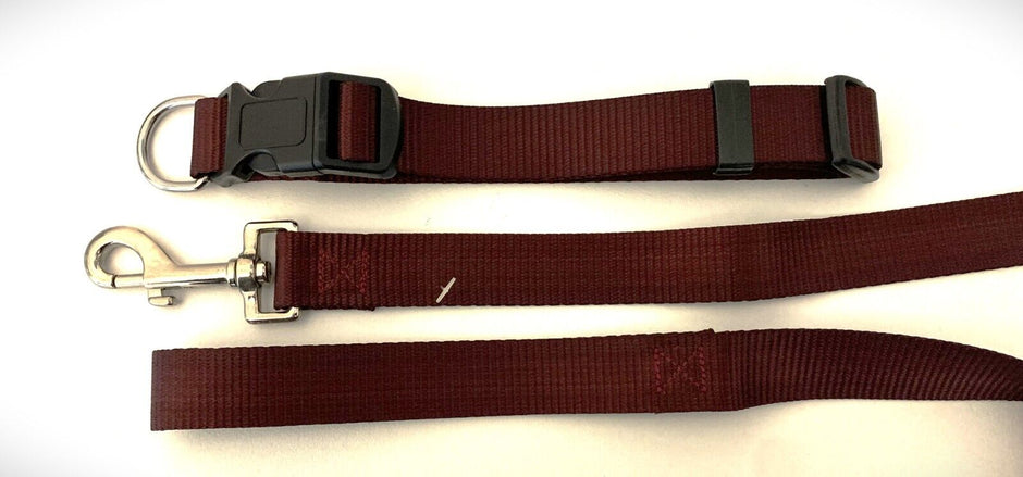 GoPetPlace 25mm burgundy dog collar with black quick-release buckle and stainless steel D ring, shown above a matching burgundy lead with metal snap clip, on a white background.