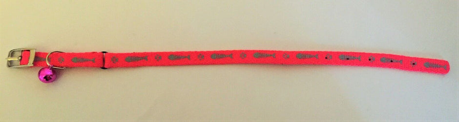 GoPetPlace red cat collar with fish and paw print pattern, silver buckle, elastic insert, and small purple bell
