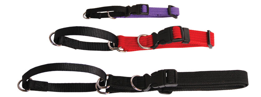 Beau Pets webbing martingale dog collars in four sizes shown in black, red, and purple, displaying the plastic click buckle and stainless steel D rings.