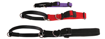 Beau Pets webbing martingale dog collars in four sizes shown in black, red, and purple, displaying the plastic click buckle and stainless steel D rings.