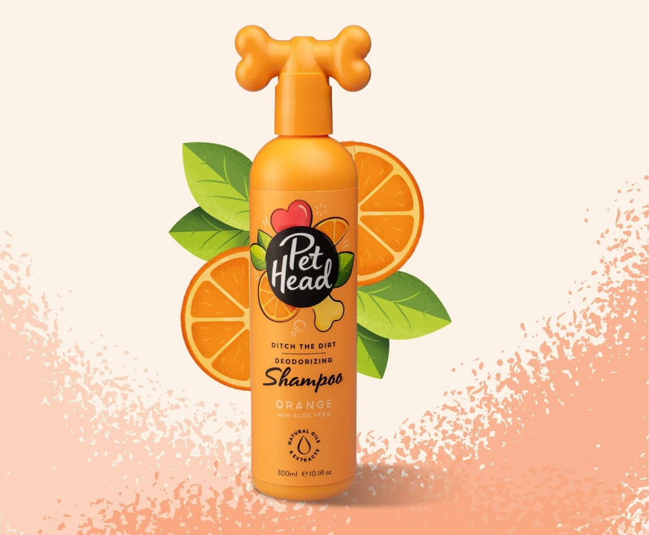 Pet Head Ditch the Dirt Deodorising Dog Shampoo 300ml orange bottle with bone-shaped cap, surrounded by illustrated orange slices and leaves