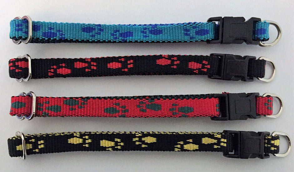 Four GoPetPlace 10mm nylon puppy collars laid flat, showing paw print patterns in four colour combinations: blue, black with red, red with green, and black with yellow.