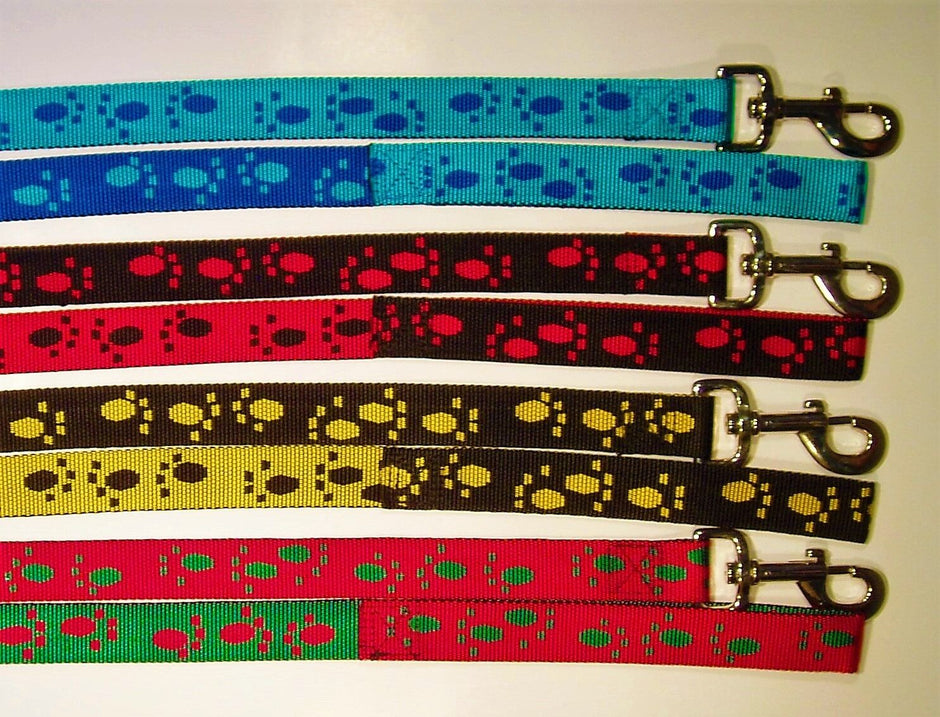 Eight GoPetPlace paw print dog leads laid out side by side, showing a variety of two-tone colour combinations including teal, blue, black, red, yellow and green, each with a silver trigger-snap clip.