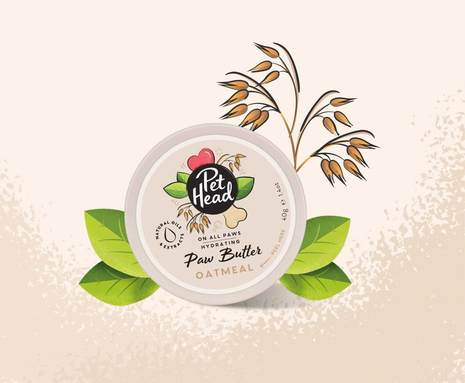 Pet Head Oatmeal Paw Butter 40g tub with illustrated oat sprigs and green leaves on a cream background