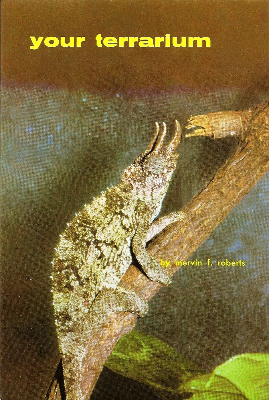 Front cover of Your Terrarium by Mervin F. Roberts, showing a lizard climbing a branch against a dark background.