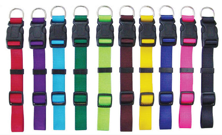 Beau Pets adjustable dog collars shown in a range of colours including red, purple, teal, green, lime, dark brown, yellow, navy and pink, each with a black quick-release buckle and silver stainless steel D ring.