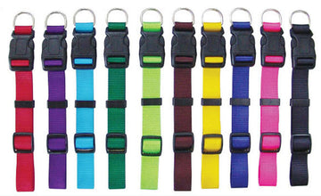 Beau Pets adjustable dog collars shown in a range of colours including red, purple, teal, green, lime, dark brown, yellow, navy and pink, each with a black quick-release buckle and silver stainless steel D ring.