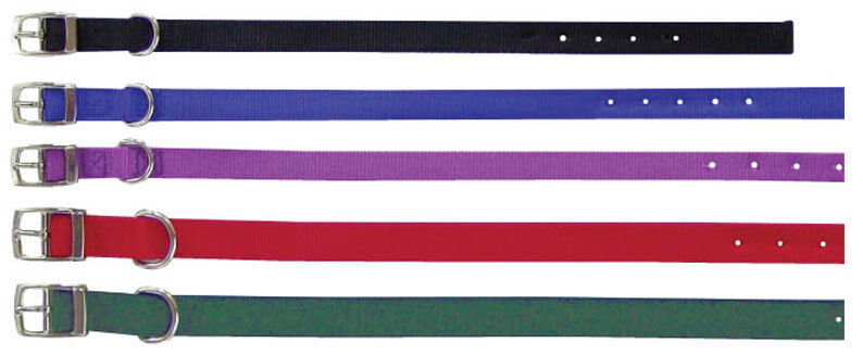 Beau Pets double layer nylon dog collars laid flat in five colours: black, blue, purple, red, and green, each with a silver buckle and stainless steel D-ring.