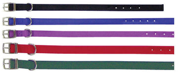 Beau Pets double layer nylon dog collars laid flat in five colours: black, blue, purple, red, and green, each with a silver buckle and stainless steel D-ring.