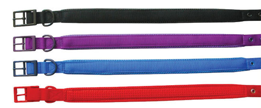 Beau Pets adjustable rubber-padded nylon dog collars laid flat in four colours: black, purple, blue and red