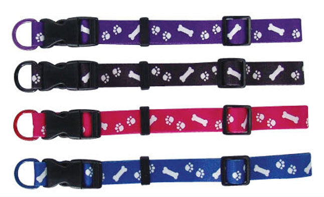 Beau Pets adjustable nylon dog collars in purple, black, red, and blue, each printed with a white paw and bone motif and featuring a side-release buckle and D-ring.