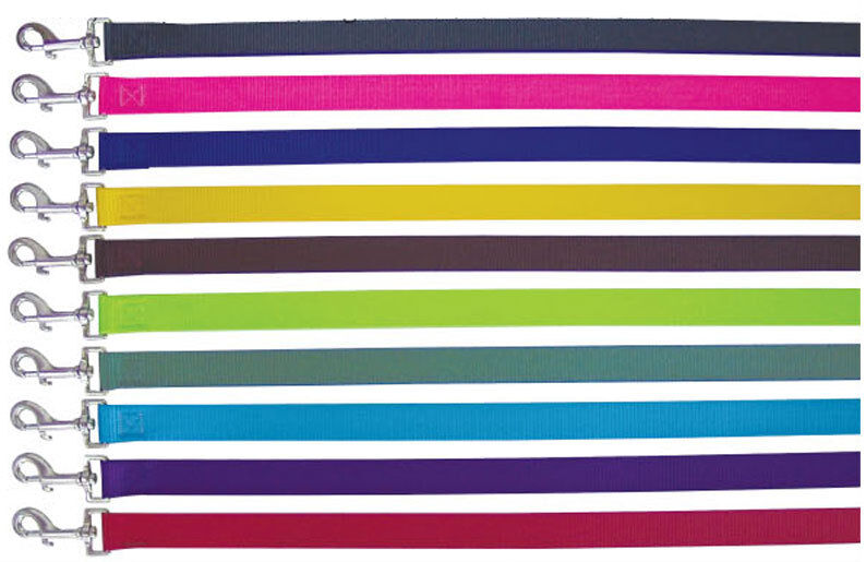 Beau Pets Soft Polyware dog leads laid out in a row showing a range of colours including pink, blue, yellow, lime green, teal and purple, each with a stainless steel clip.