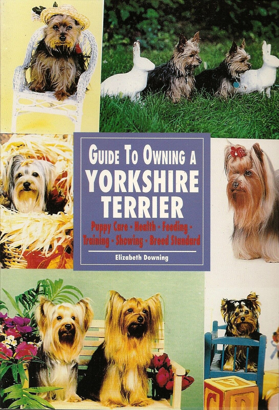 Front cover of Guide to Owning a Yorkshire Terrier by Elizabeth Downing, featuring a collage of Yorkshire Terrier photos and the subtitle listing puppy care, health, feeding, training, showing, and breed standard.