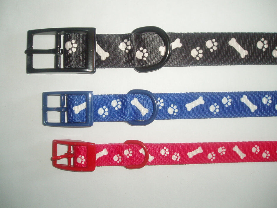 Beau Pets nylon dog collars in black, blue and red, each with white paw print and bone motif and colour-matched buckle and D-ring fittings