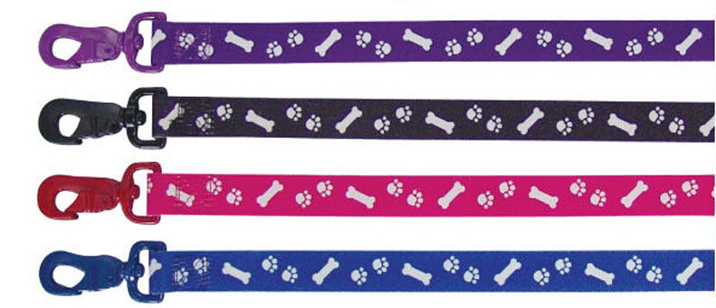 Beau Pets nylon dog leads in four colours — purple, black, pink and blue — each with a white paw and bone motif and a colour-matched clip